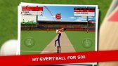 game pic for Stick Cricket